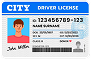 Vehicle Owner's Valid Driving License